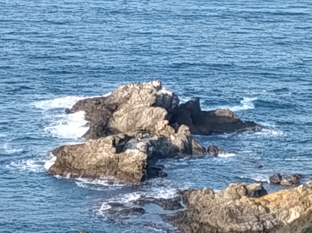 Poyrazkoy Limani-伊斯坦布尔必去景点