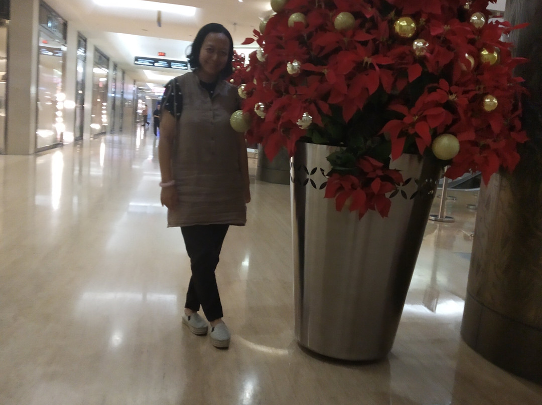 Plaza Indonesia-雅加达必去景点