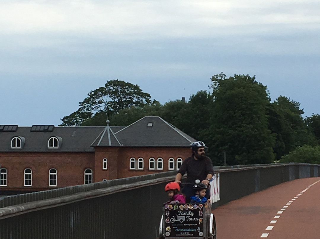 Copenhagen Family Tours-哥本哈根必去景点