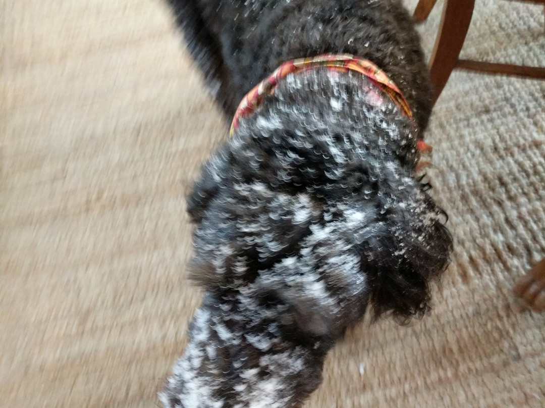 Stonewall Farm Bed and Breakfast主图