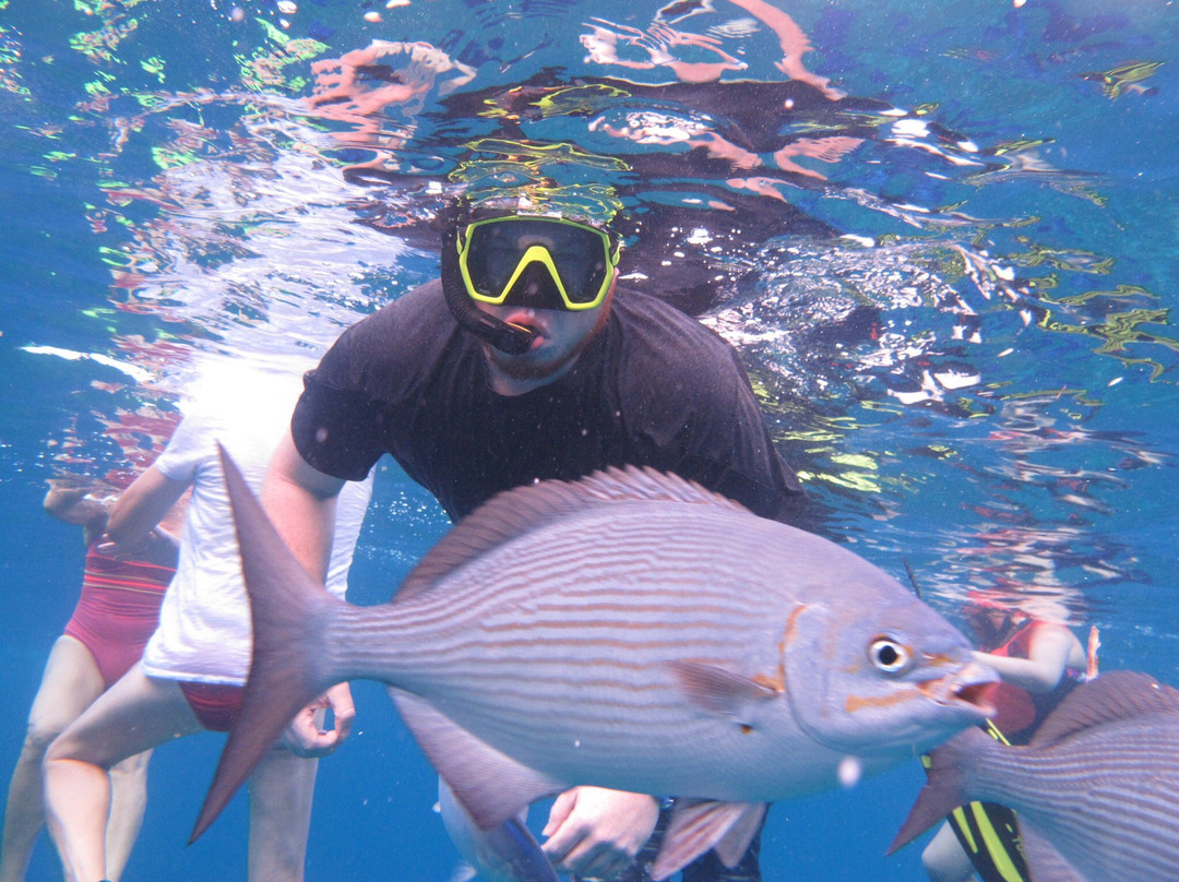 Chac Choc Tours-考祖梅必去景点