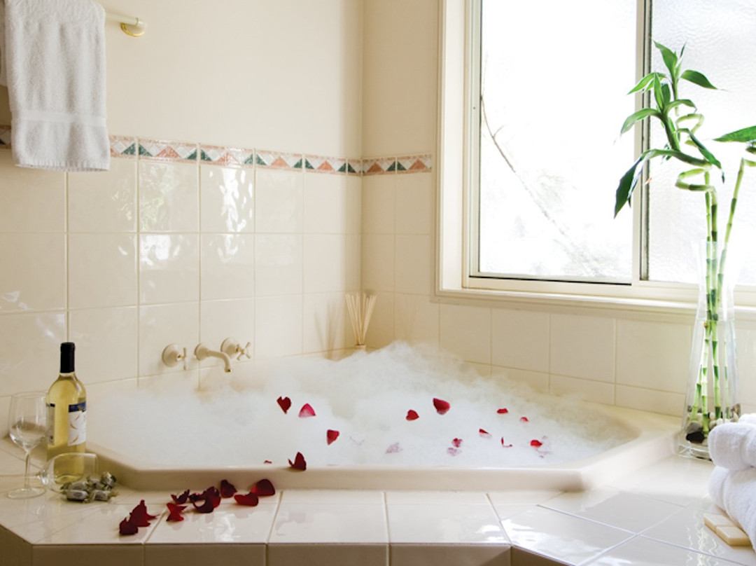 皇家森林度假村主图