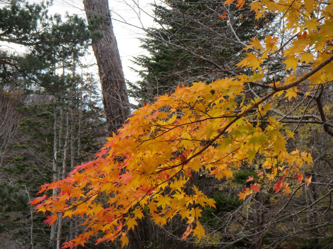 Kamisunagawa Town Suigen Park-上砂川町必去景点