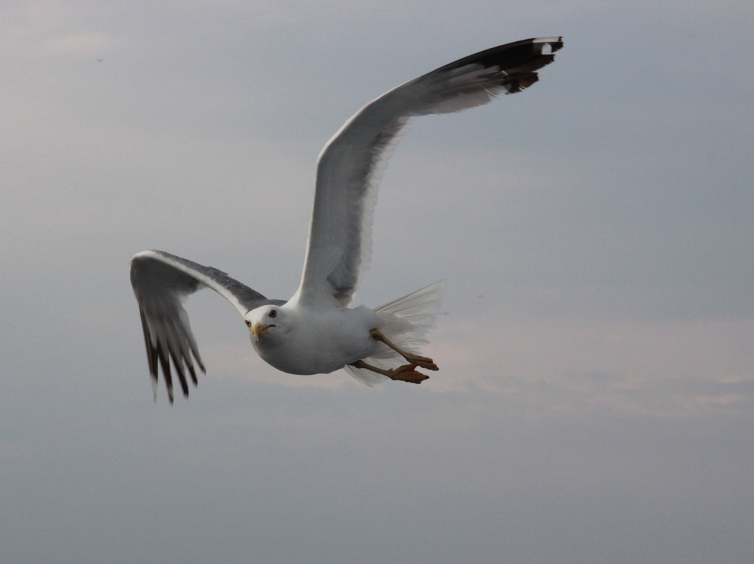 Thassos Port-Thassos Town (Limenas)必去景点