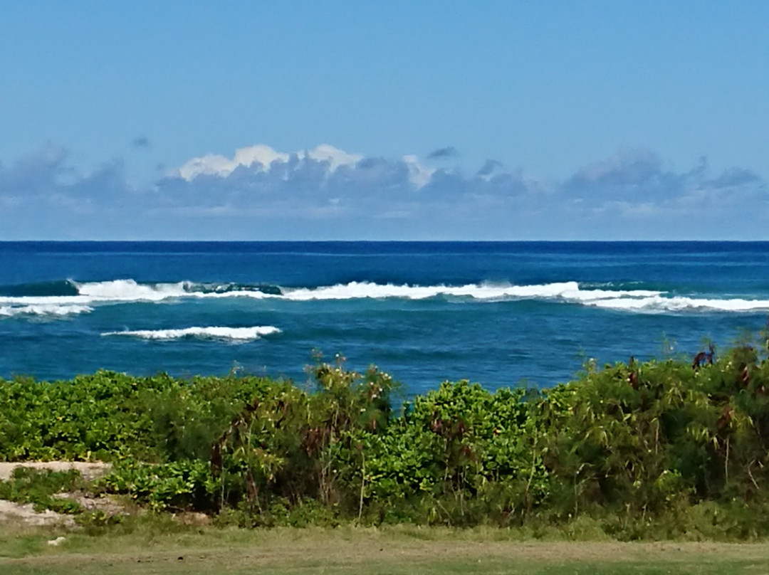 海龟湾度假村高尔夫球场-卡胡库必去景点