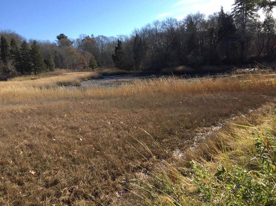 Emilie Ruecker Wildlife Refuge-Tiverton必去景点