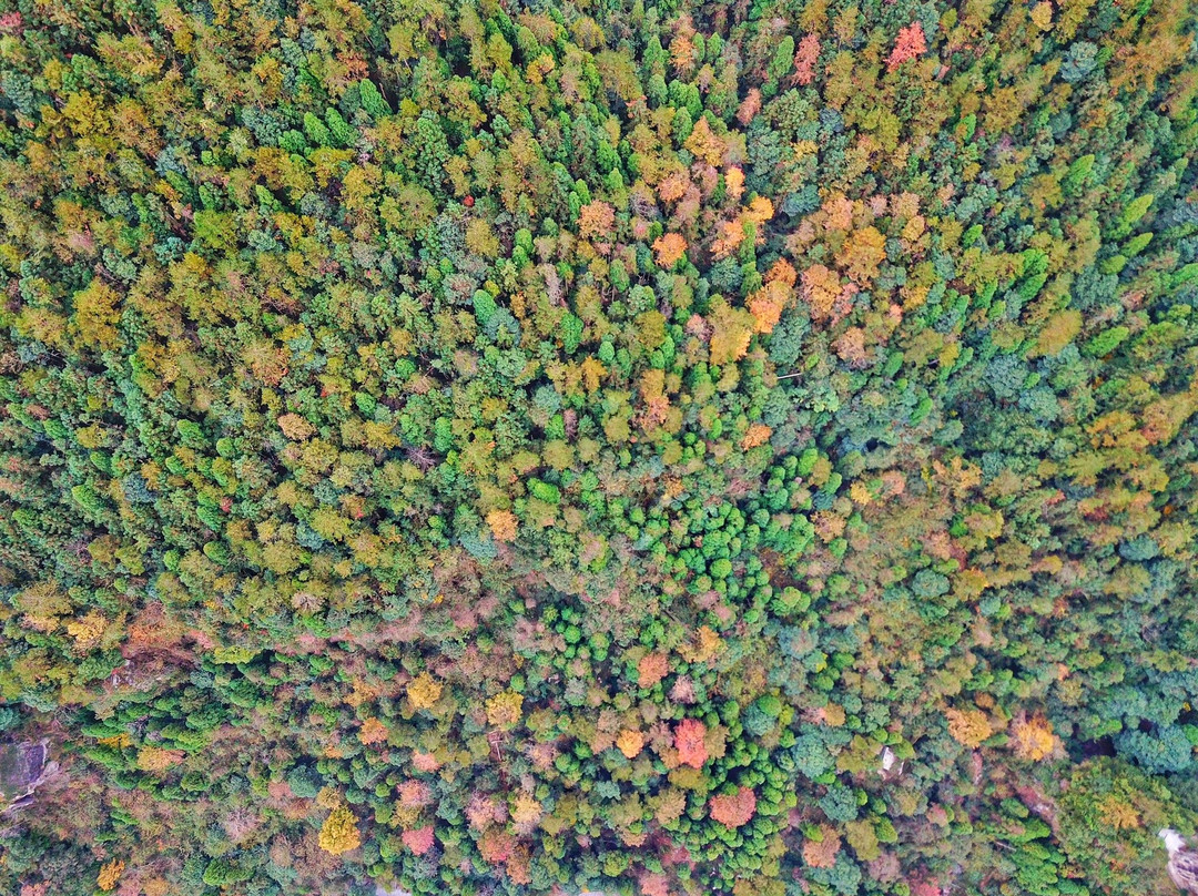 温州百丈飞瀑-文成县必去景点