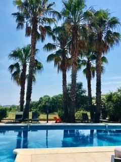 Villa Mediterranee Wellness主图