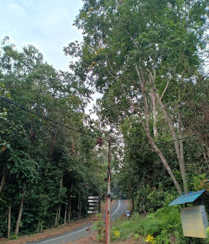 Bera Lake-直凉必去景点