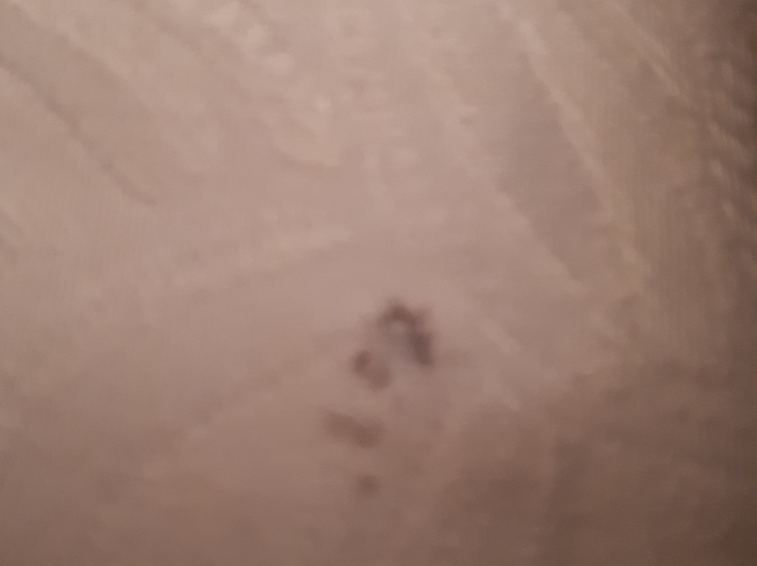 Auberge de Saugras主图