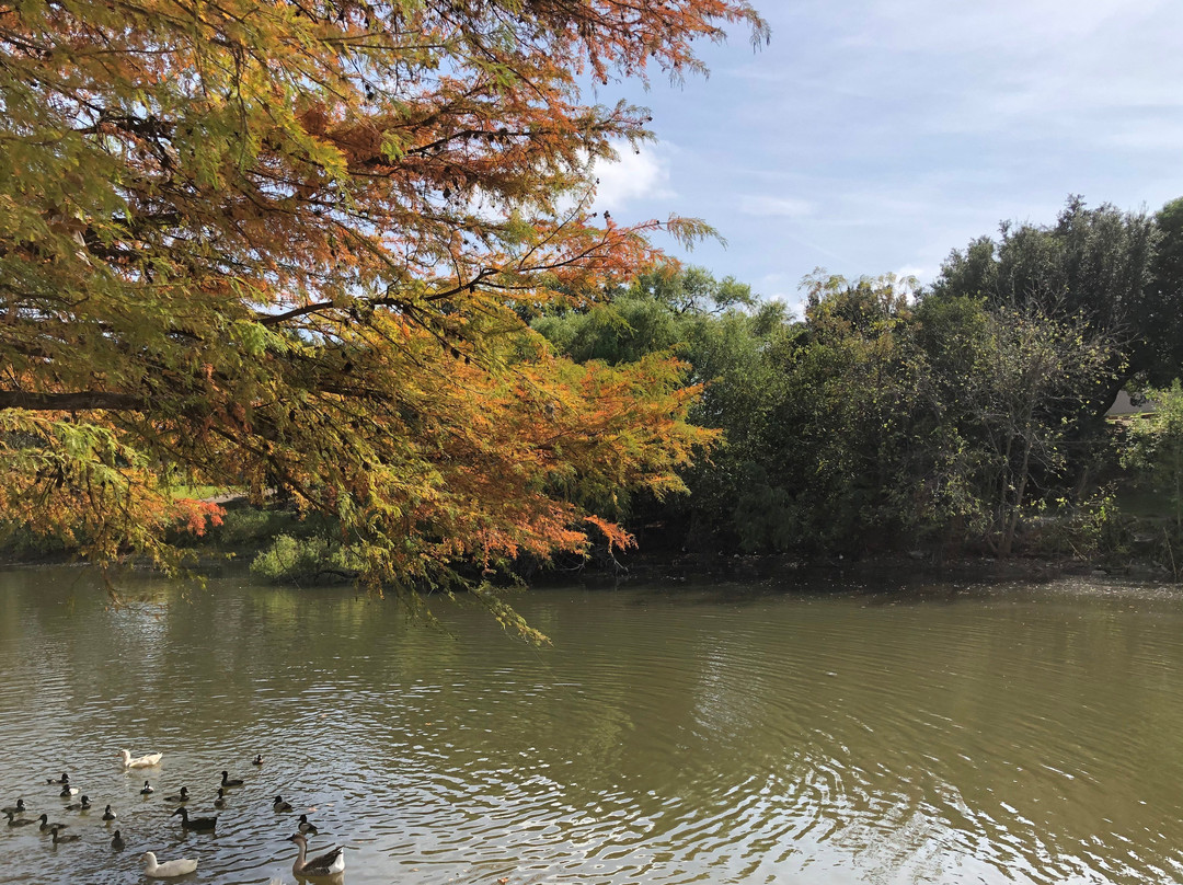 River Road Park-Boerne必去景点