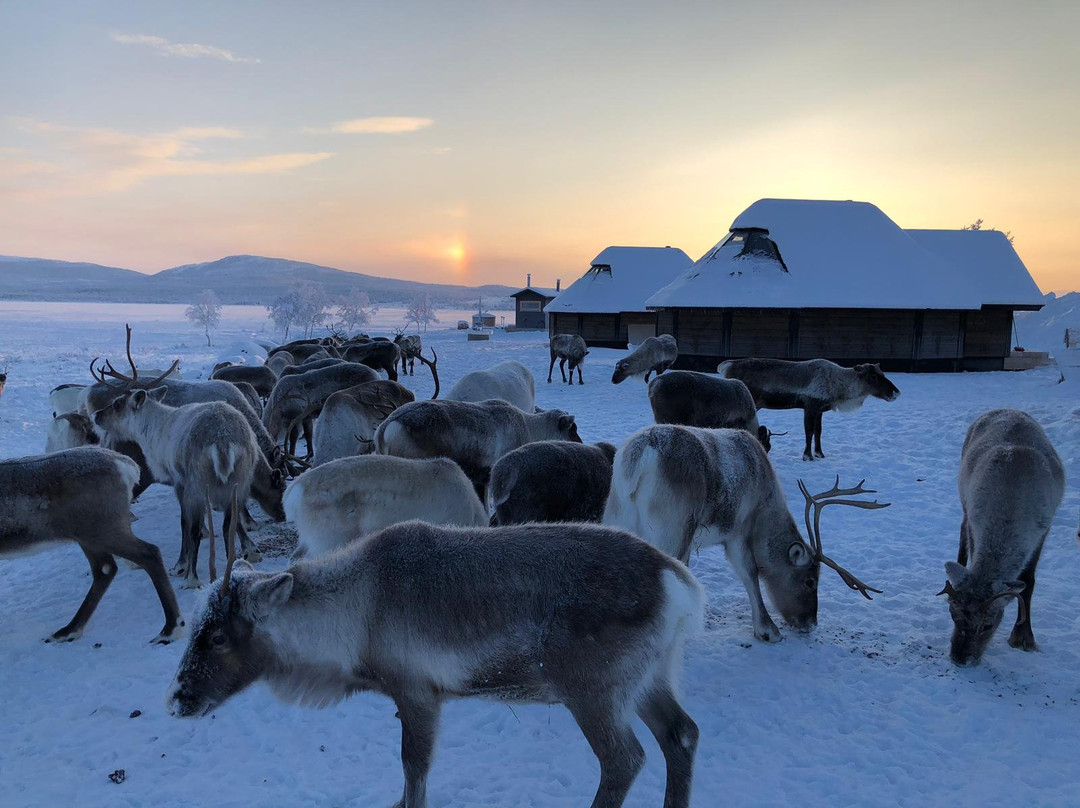 Arctic Land Adventure