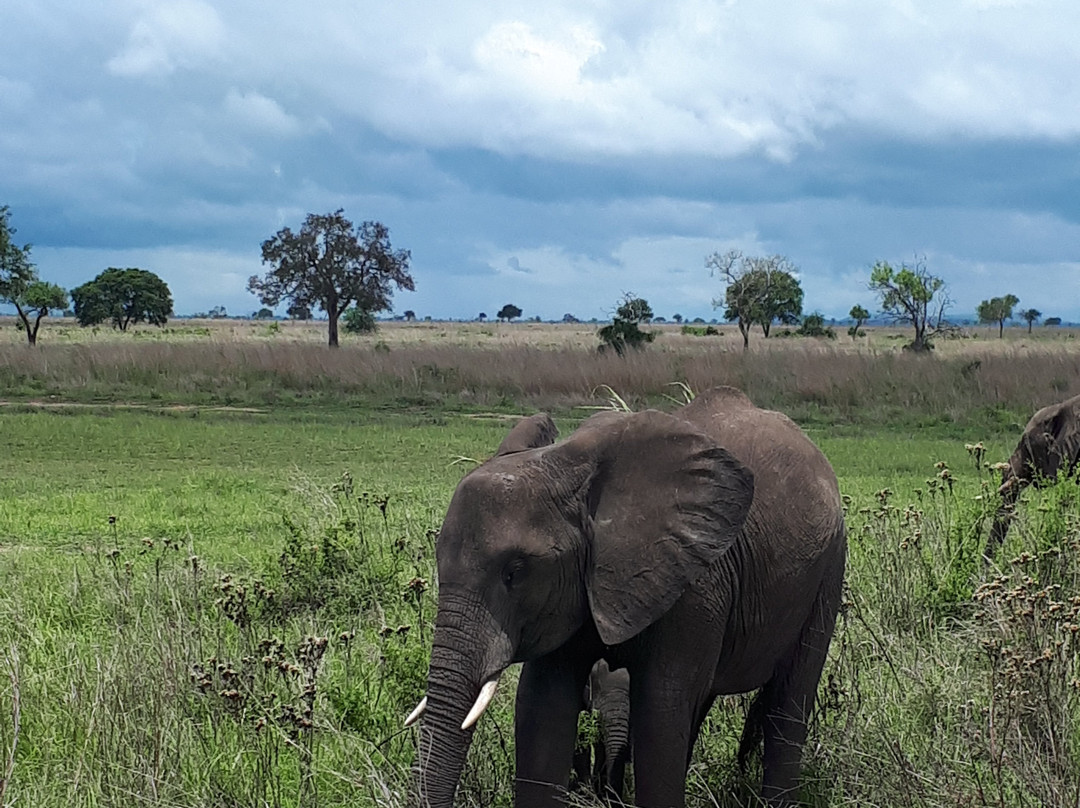 Watu Safaris (t) Ltd-莫洛哥罗必去景点