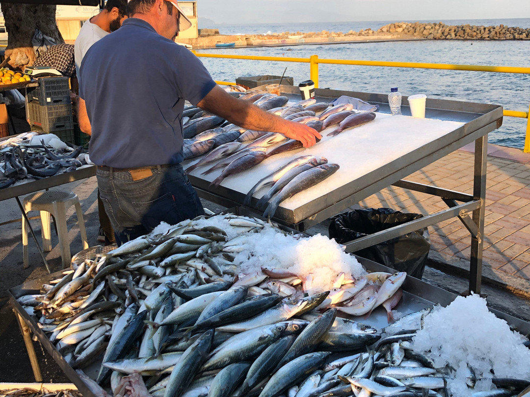 Nea Chora Farmer's Market-干尼亚必去景点