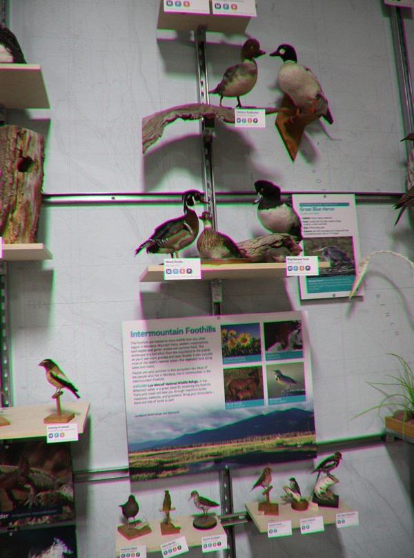 Montana Natural History Center-米苏拉必去景点