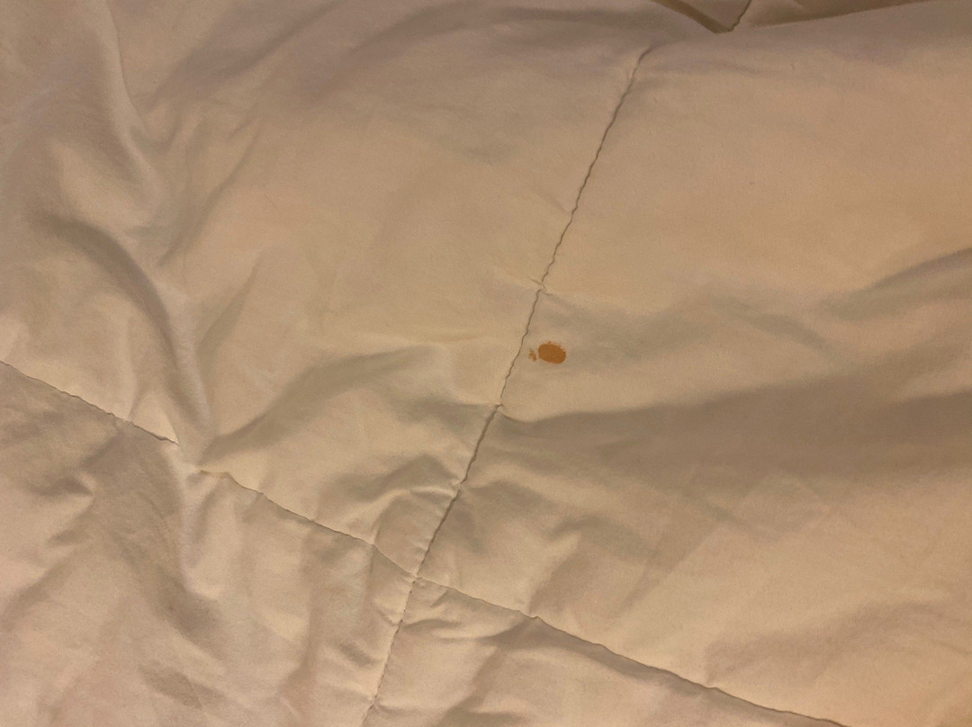 Hotel Plaza Chihuahua主图