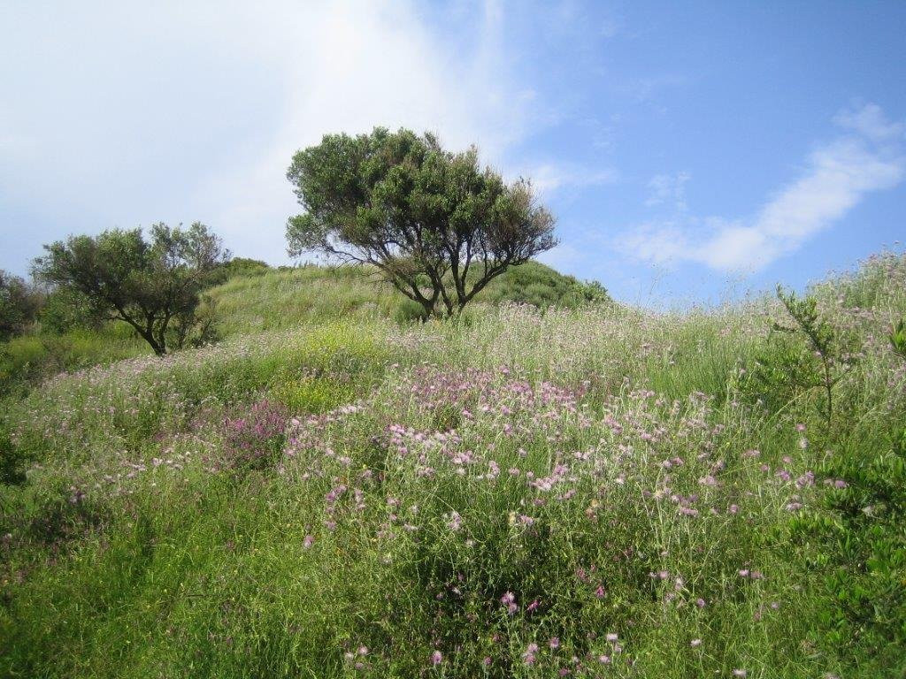 Agrilia Studios主图