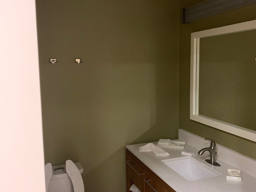 Home2 Suites by Hilton Elko主图