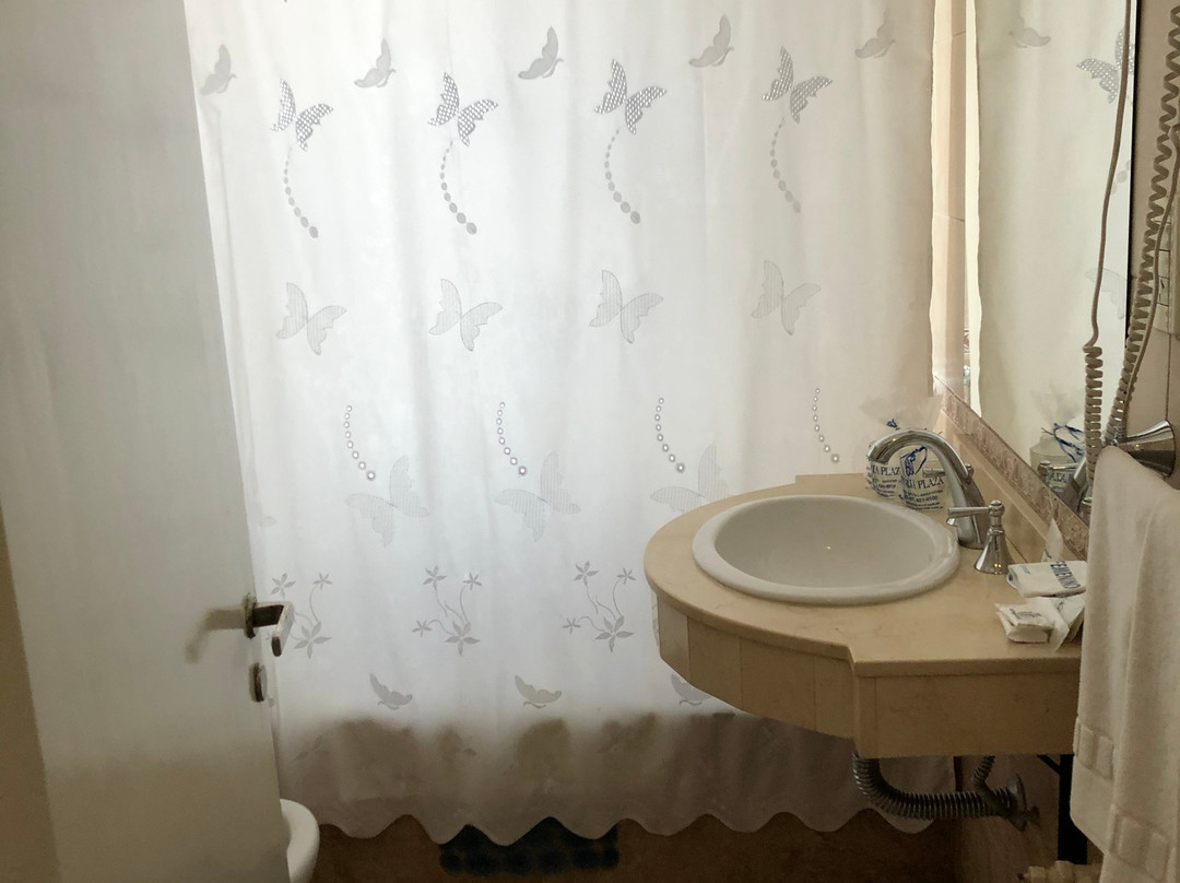 Hotel Victoria Plaza主图