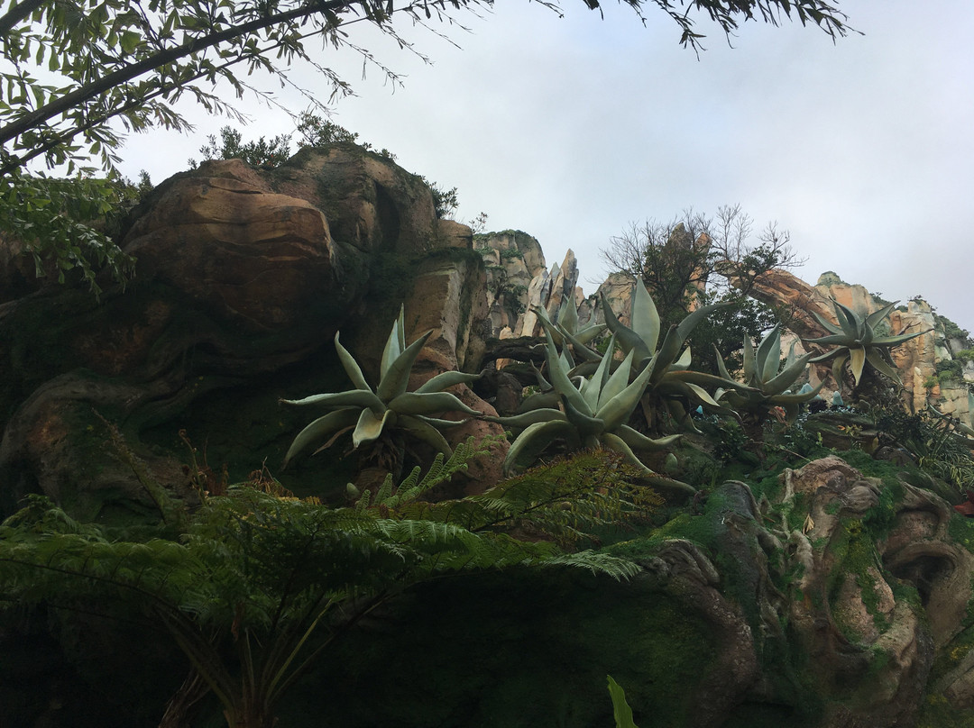 Pandora – The World of Avatar景点图片