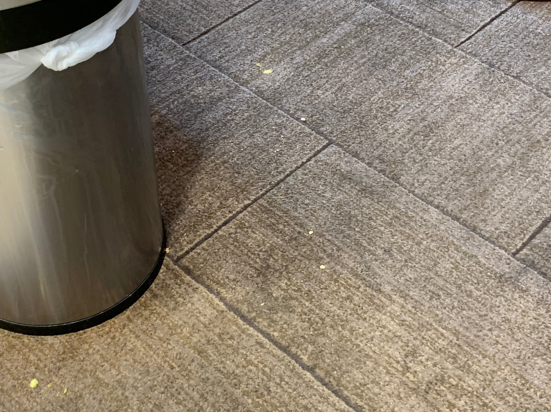 SpringHill Suites by Marriott Columbia主图