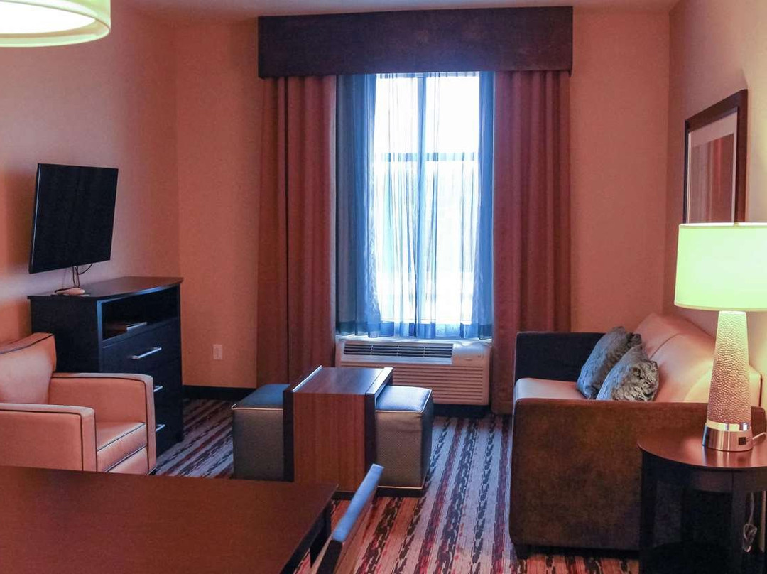 Homewood Suites by Hilton North Houston/Spring主图