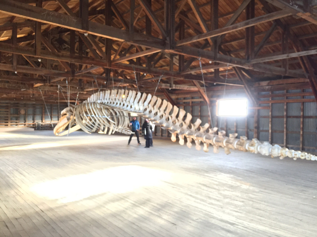 Museo de Historia Natural Río Seco-蓬塔阿雷纳斯必去景点