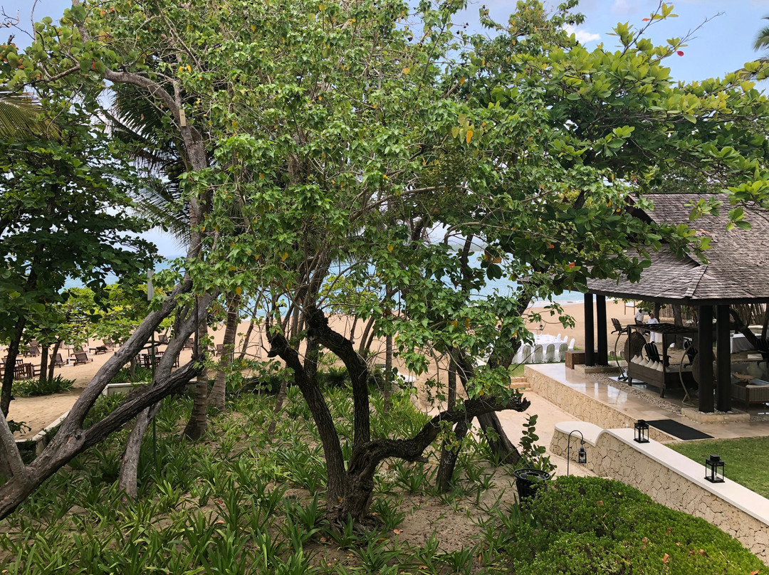 Casa Colonial Beach & Spa主图