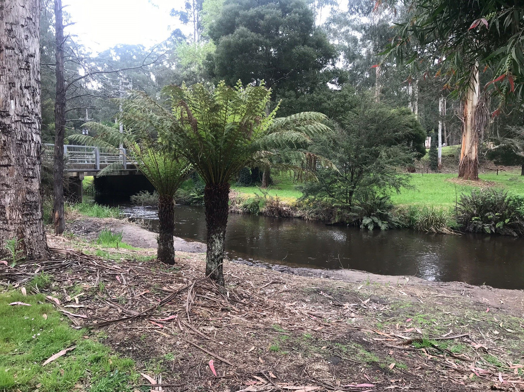 Noojee Picnic Grounds-Noojee必去景点