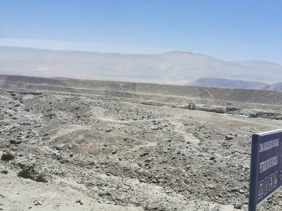 Miculla Petroglyphs-塔克纳必去景点