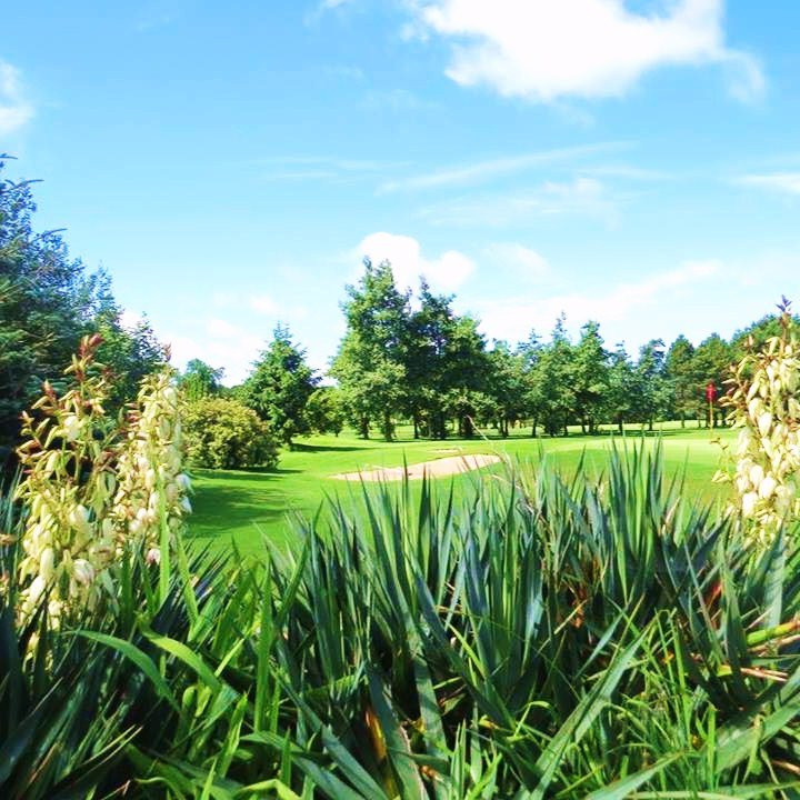 Holsworthy Golf Club景点图片