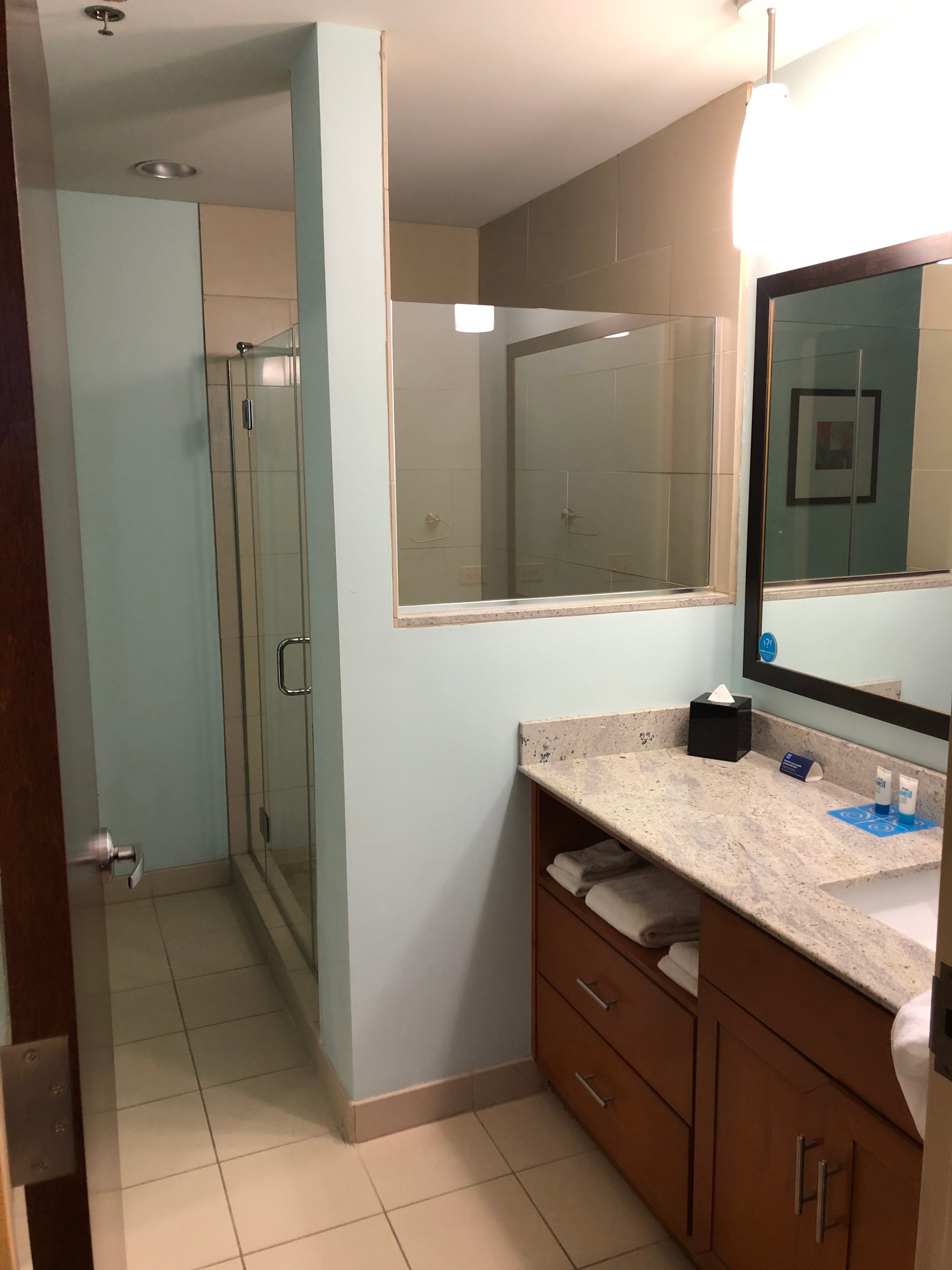 Hyatt House Chicago/Naperville/Warrenville-浴室