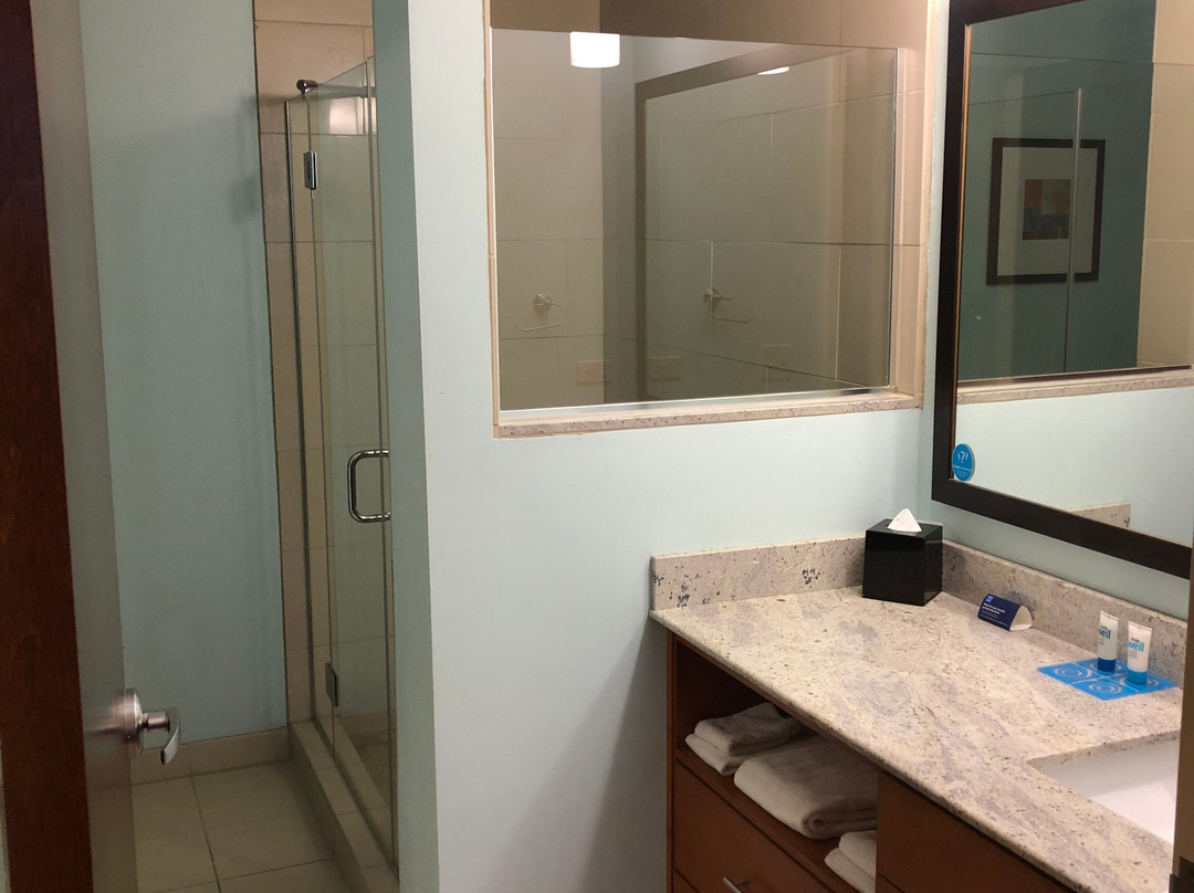 Hyatt House Chicago/Naperville/Warrenville主图