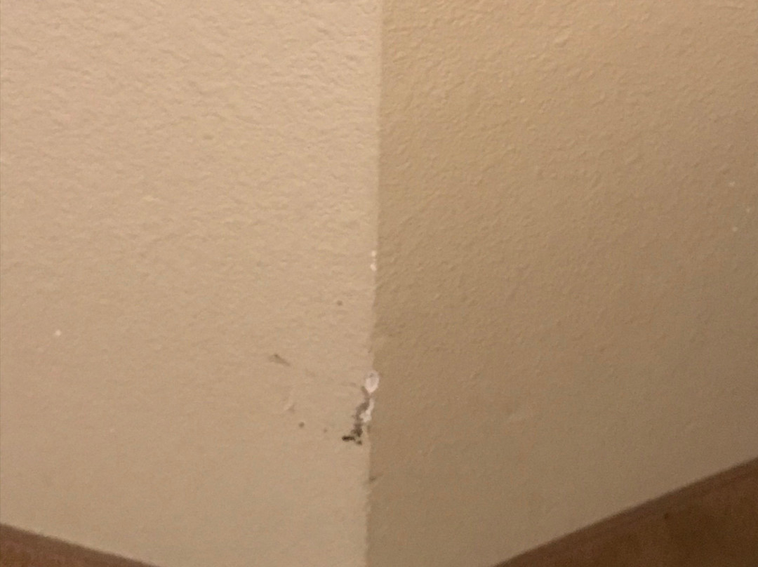 Country Inn & Suites by Radisson, Chanhassen, MN主图