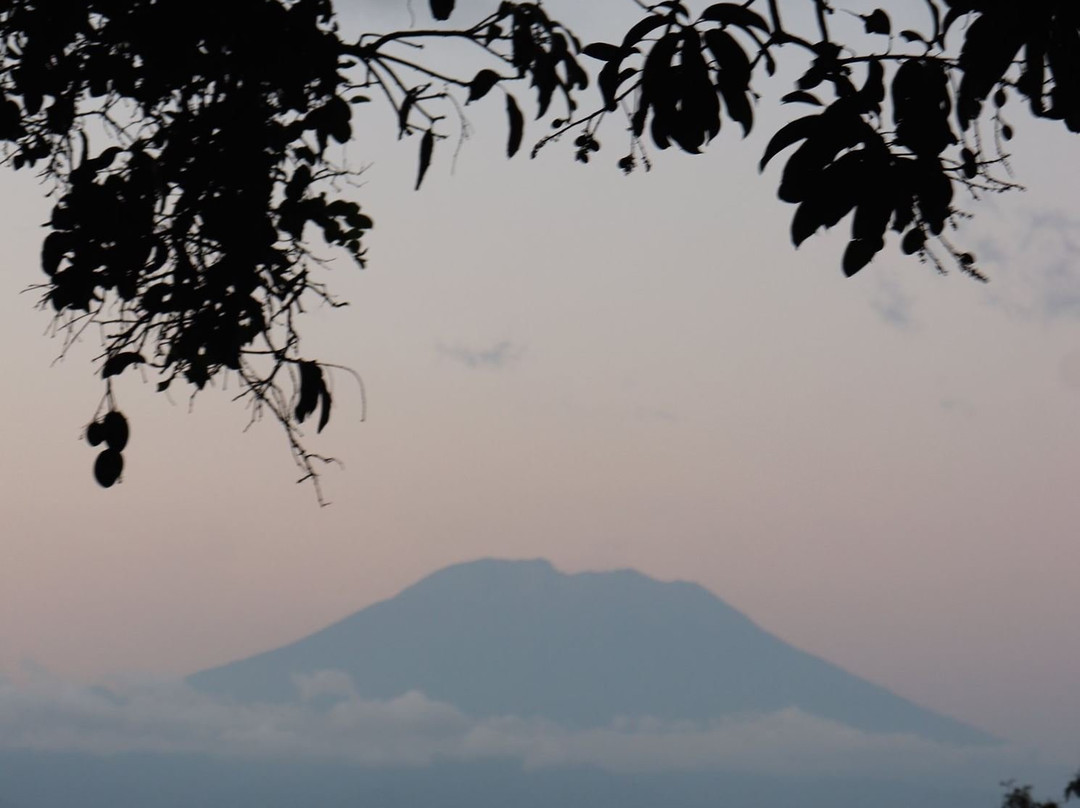 Penida Bambu Green Villas主图