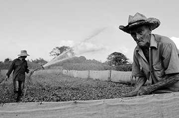 Photo Tours in Vinales with Guillermo Seijo景点图片