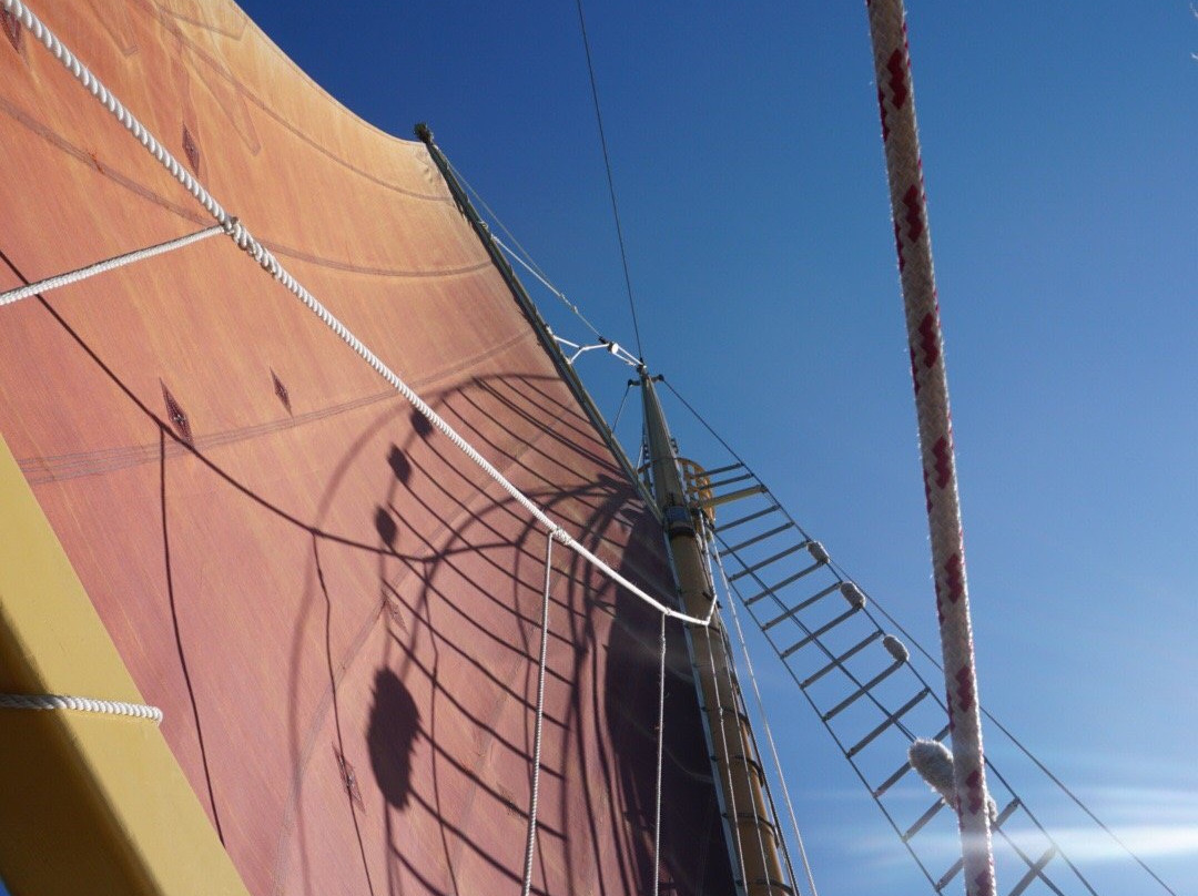 Tallship Adventures景点图片