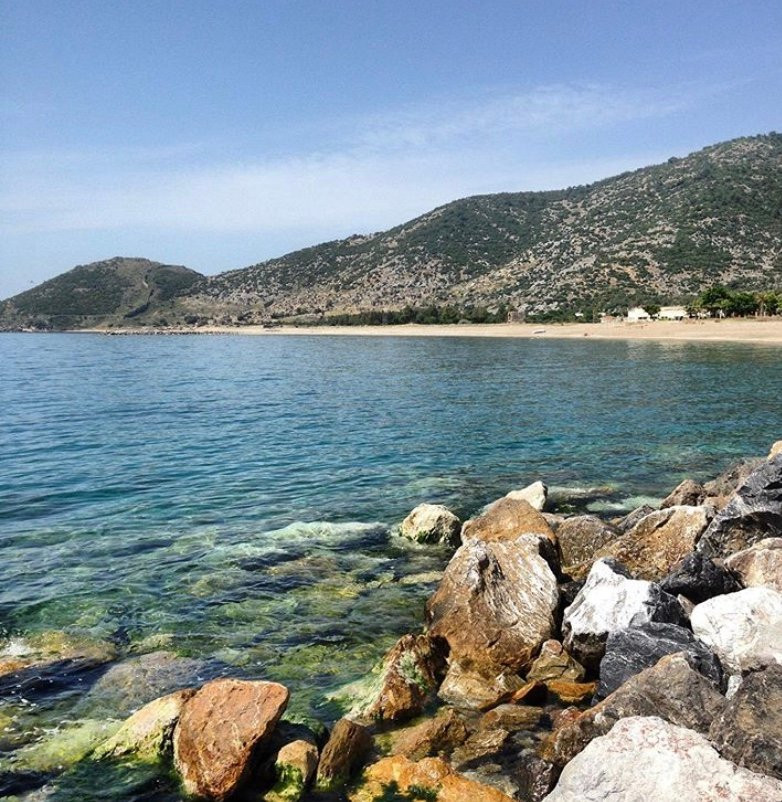 MayaLuna Ecolodge- Restaurants主图