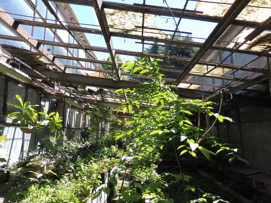 Dushanbe Zoological Park-杜尚别必去景点
