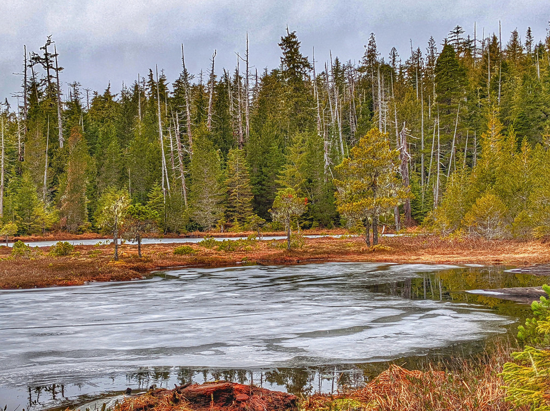 Scout Lake Trail景点图片