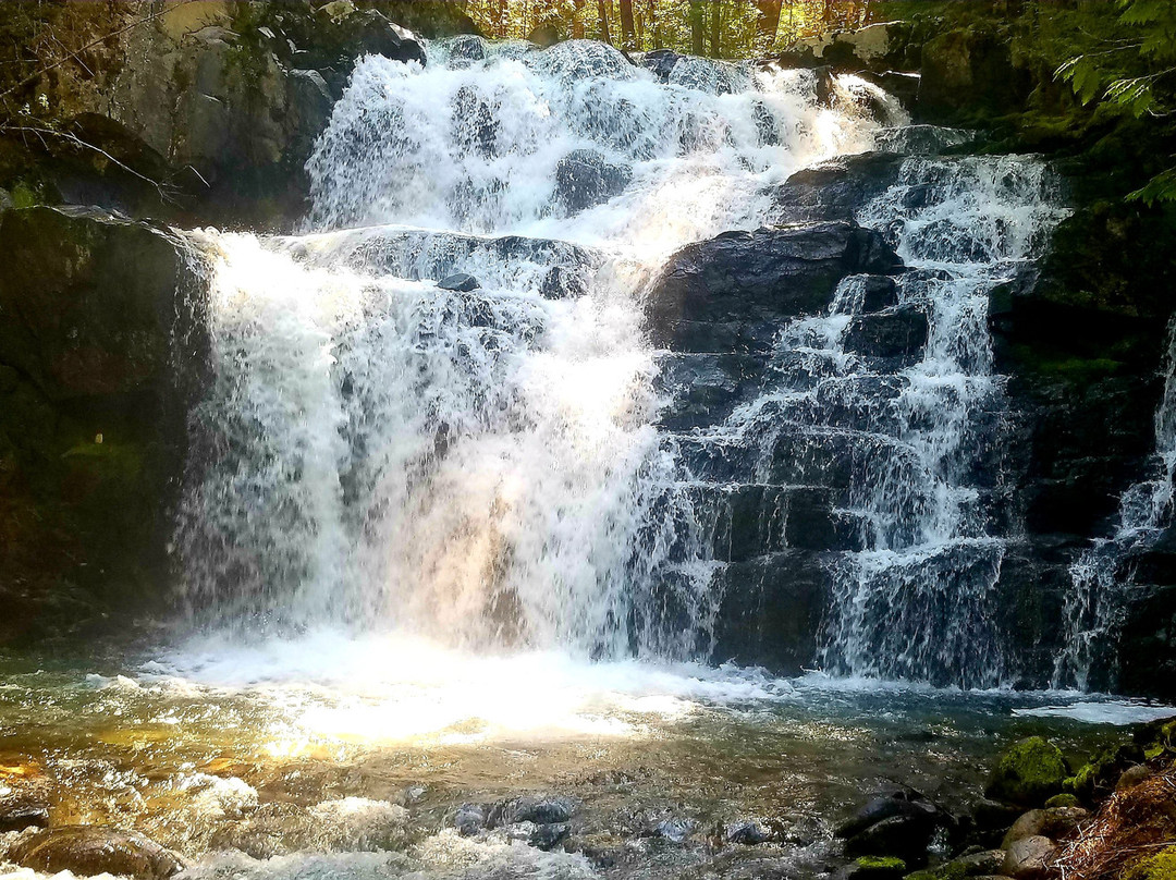 Springer Creek Waterfalls景点图片