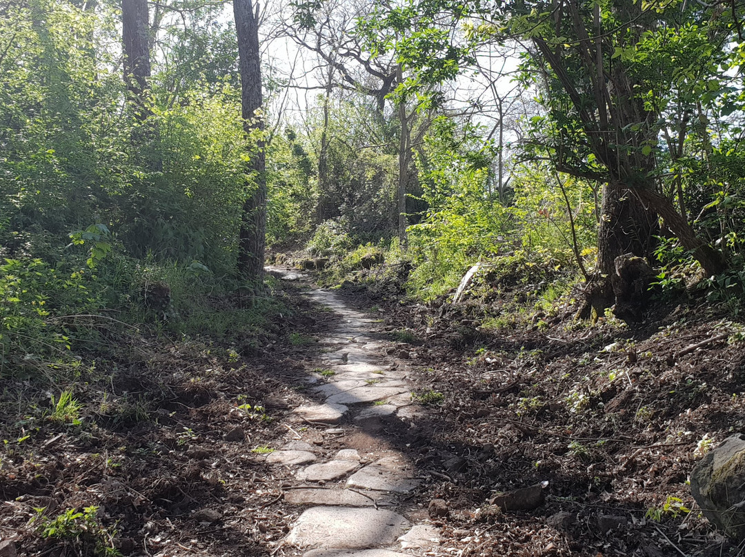 Monte Tuscolo-Monte Porzio Catone必去景点