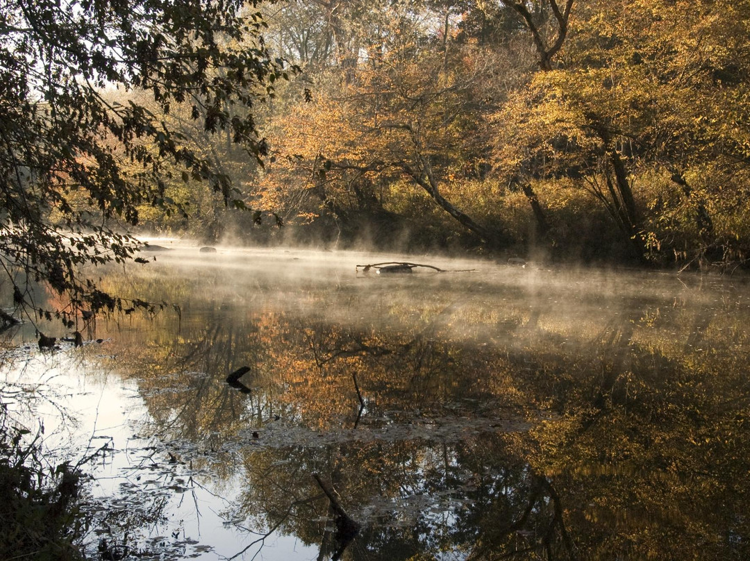 Eno River State Park景点图片