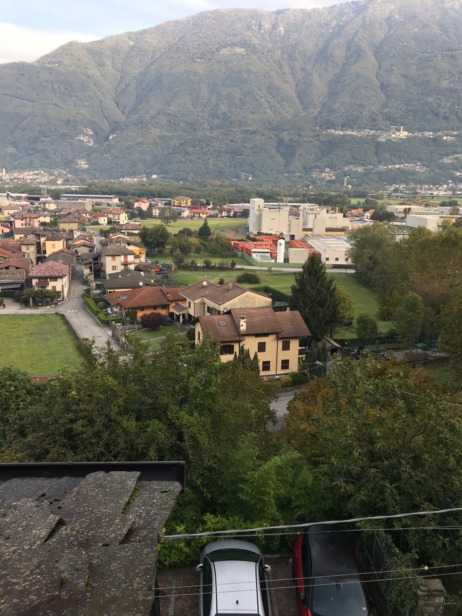B&B Al Carotin-官方