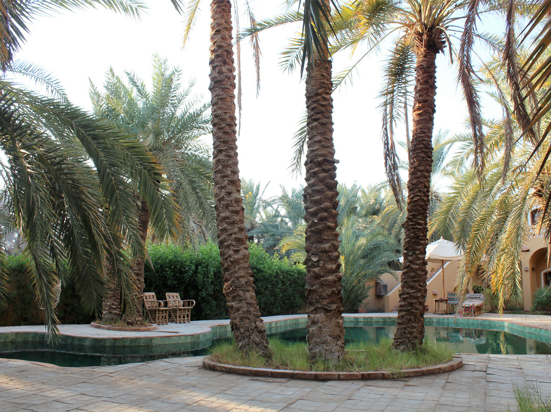 Siwa Safari Gardens Hotel主图