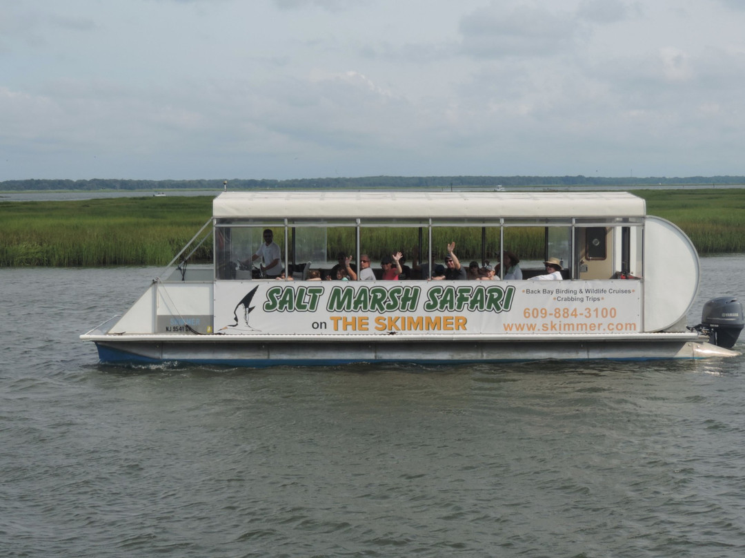 Salt Marsh Safari The Skimmer景点图片