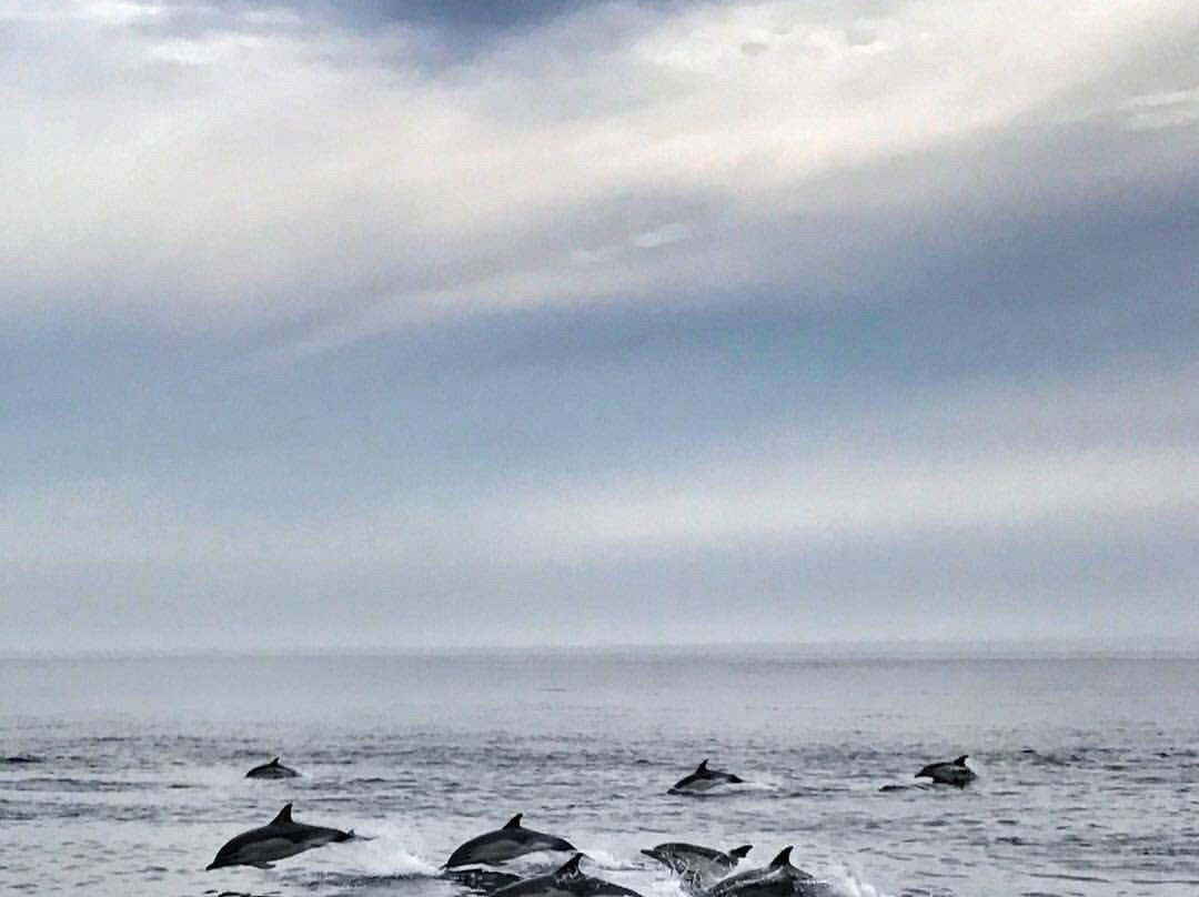 BlueWater Entertainment-查塔姆必去景点