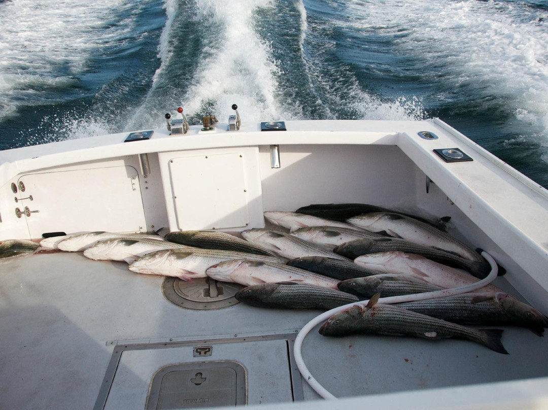 Magellan Sportsfishing Charters景点图片