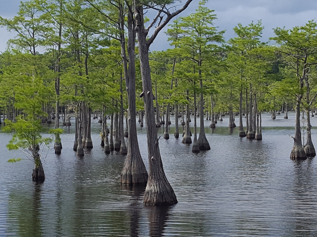 George L. Smith Park-Twin City必去景点