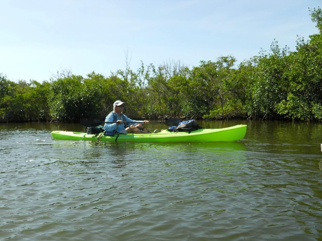 Space Coast Kayaking景点图片
